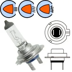 Verre Ampoule 12V 55W H7 PX26D