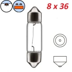 Verre Ampoule Navette 6V 3W SV7 8x36 Mm