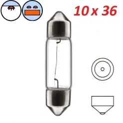 Verre AMPOULE NAVETTE 6V 5W SV7 8 X 36 MM VOITURE MOTO SCOOTER VESPA PIAGGIO FEU ARRIERE STOP CLIGNOTANT LAMPE