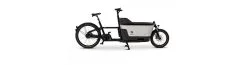 Carqon Cruise E2 2x500w