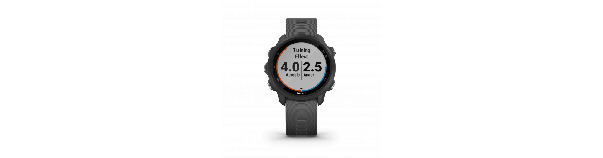 Garmin Montre GPS Forerunner 245