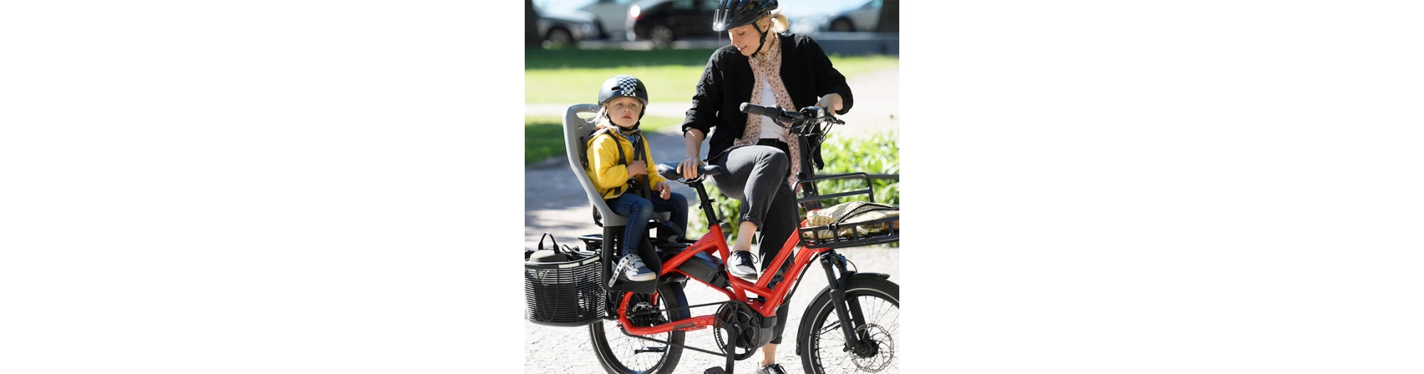 Tern Hsd P9 Performance Line 500W – Image 2