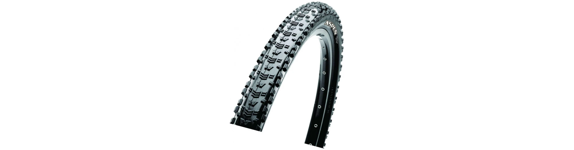 MAXXIS Pneu Aspen Tr Exo 120 Tpi Dual