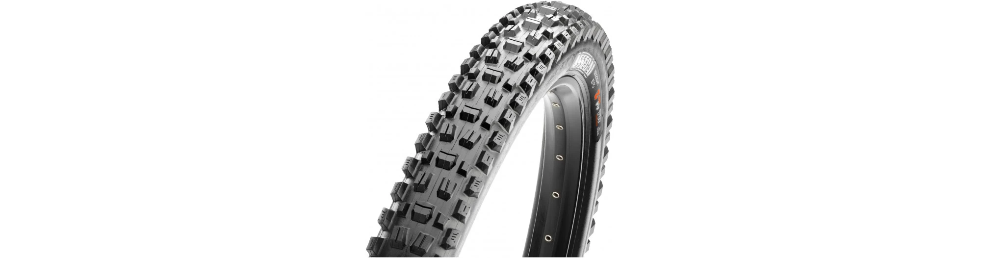 MAXXIS Pneu ASSEGAI Tubeless Ready EXO+ 60Tpi 3C Terra