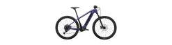Trek Powerfly 5