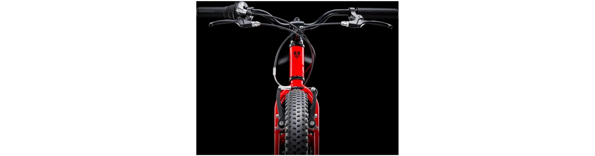 Trek Precaliber 24 8 vitesses Pour Garçons – Image 5