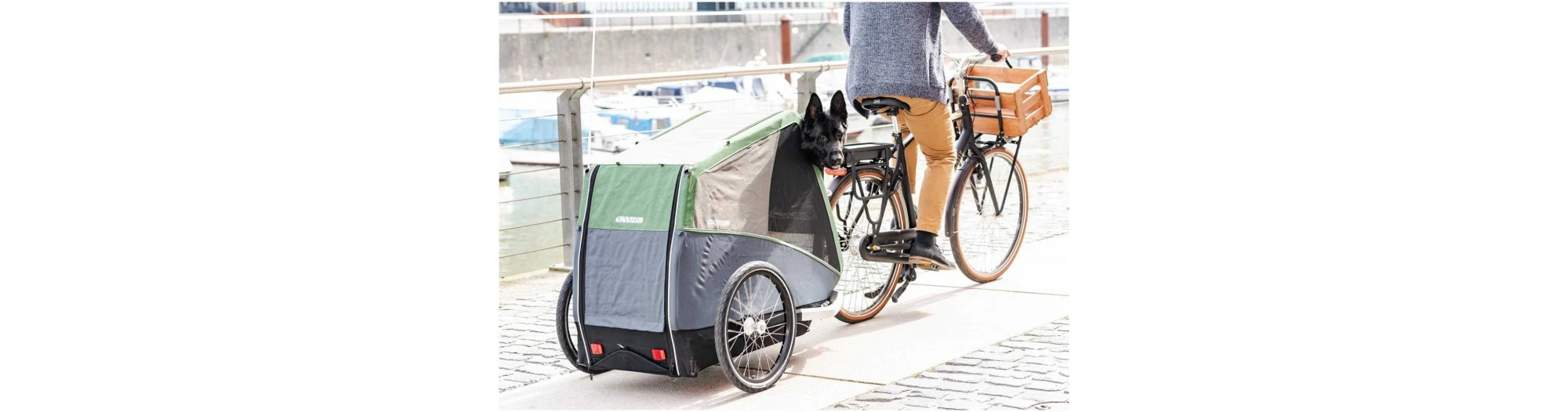 Croozer Remorque Pour Animaux DOG XL – Image 4