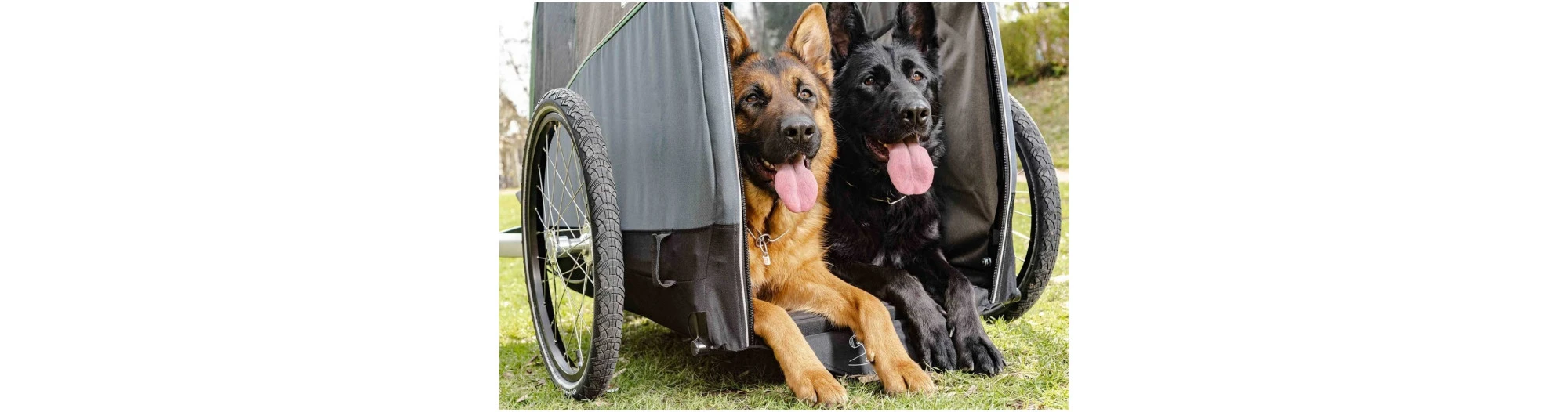 Croozer Remorque Pour Animaux DOG XL – Image 5