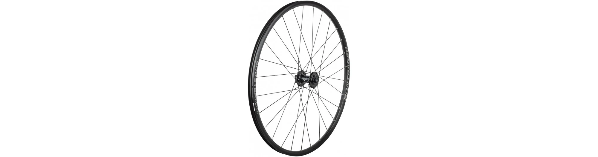 BONTRAGER Roue Avant Duster Elite TLR 29 Boost 110