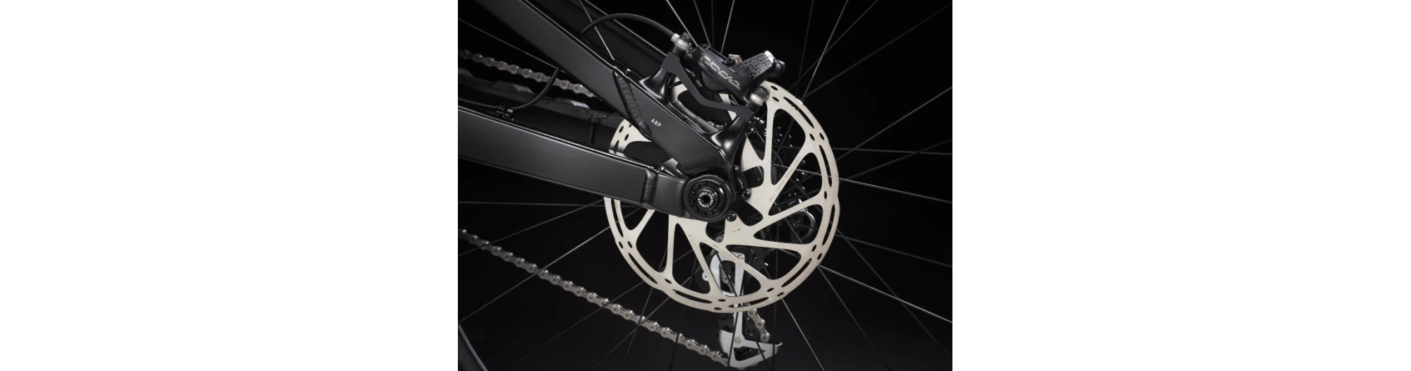 Trek Session 8 – Image 5