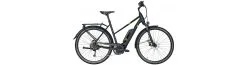 Pegasus Solero E9 Sport CX 500wh Tr